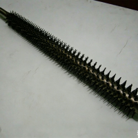 wen_dang_nei_rong_ying_yi_jiword_ge_shi_fan_hui_22